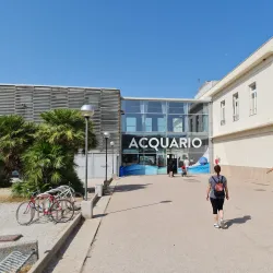 Acquario di Livorno - Livorno