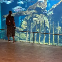 Acquario di Livorno - Livorno