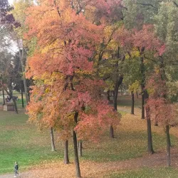 Parco Isola Carolina - Lodi