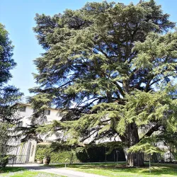 Botanical Garden of Lucca (Orto Botanico Comunale di Lucca) - Lucca