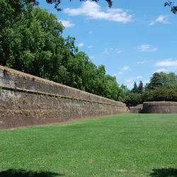 Lucca City Walls (Mura di Lucca) - Lucca