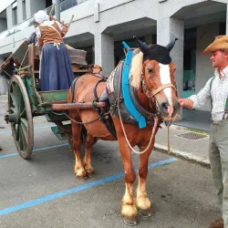 Museo della Battaglia di Magenta - Magenta