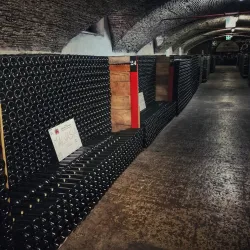 Friuli Collinare Wine Region - Maniago