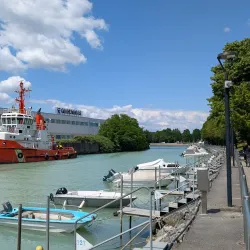 Friuli Collinare Wine Region - Maniago