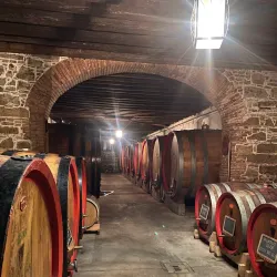 Friuli Collinare Wine Region - Maniago