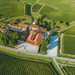 Friuli Collinare Wine Region - Maniago