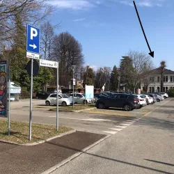 Local Markets and Festivals - Maniago