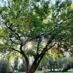 Parco delle Risorgive - Maniago