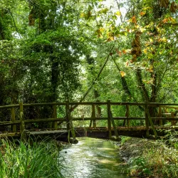 Parco delle Risorgive - Maniago