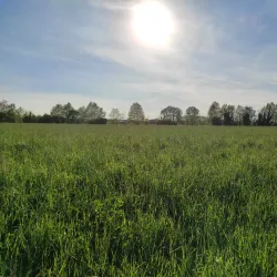 Parco delle Risorgive - Maniago