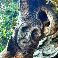 Sentiero del Pellegrino (Pilgrim's Path) - Maniago