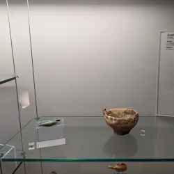 Museo Civico di Massa - Massa