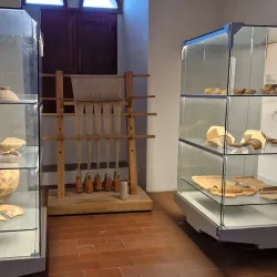 Museo Civico di Massa - Massa