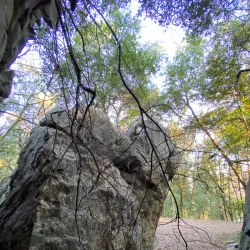 Parco della Padula - Massa