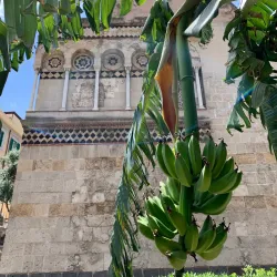 Santissima Annunziata dei Catalani - Messina