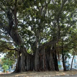 Villa Mazzini - Messina