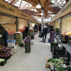 Mercato di Mestre - Mestre