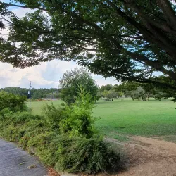 Parco Albanese - Mestre