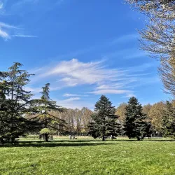 Parco Albanese - Mestre