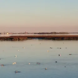 Parco San Giuliano - Mestre