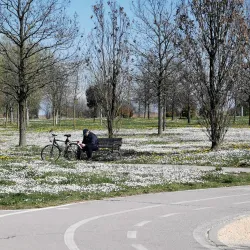 Parco San Giuliano - Mestre