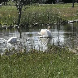 Parco San Giuliano - Mestre