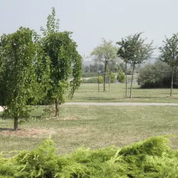 Parco San Giuliano - Mestre