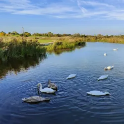 Parco San Giuliano - Mestre