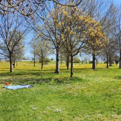 Parco San Giuliano - Mestre
