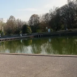 Parco Albanese - Mirano