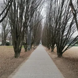 Parco Albanese - Mirano