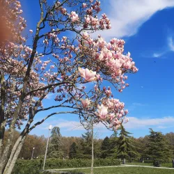 Parco Albanese - Mirano