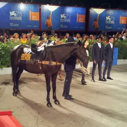 Teatro Comunale di Mirano - Mirano