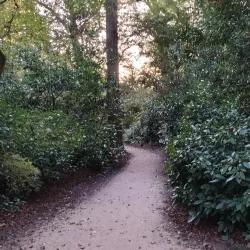 Villa Belvedere - Mirano