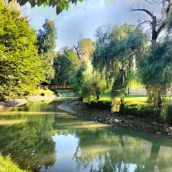 Villa Morosini - Mirano