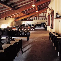 Balsamic Vinegar Museums and Producers - Modena