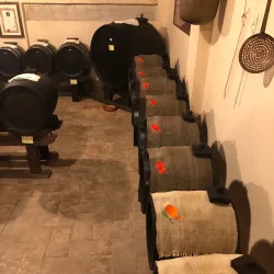 Balsamic Vinegar Museums and Producers - Modena