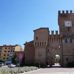 Balsamic Vinegar Museums and Producers - Modena