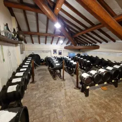 Balsamic Vinegar Museums and Producers - Modena