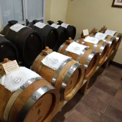 Balsamic Vinegar Museums and Producers - Modena