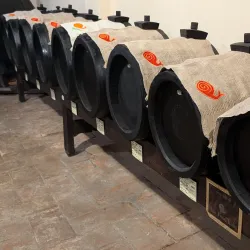 Balsamic Vinegar Museums and Producers - Modena