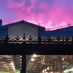 Mercato Albinelli - Modena