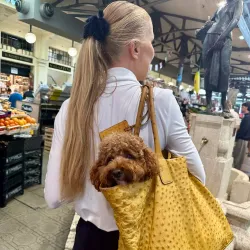 Mercato Albinelli - Modena