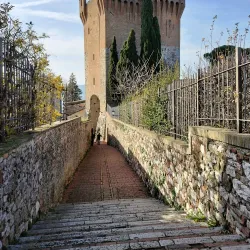 Chiesa di San Michele Arcangelo - Mogliano