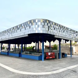 Mercato Settimanale di Mogliano - Mogliano