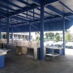 Mercato Settimanale di Mogliano - Mogliano