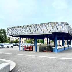 Mercato Settimanale di Mogliano - Mogliano