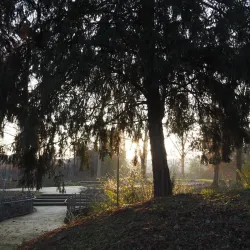 Parco di Villa Concina - Mogliano