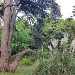 Parco di Villa Concina - Mogliano