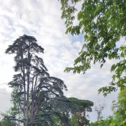 Parco di Villa Concina - Mogliano